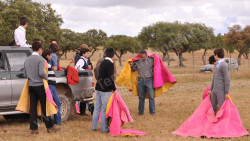 Academia de Toureio do Campo Pequeno tenta em campo aberto